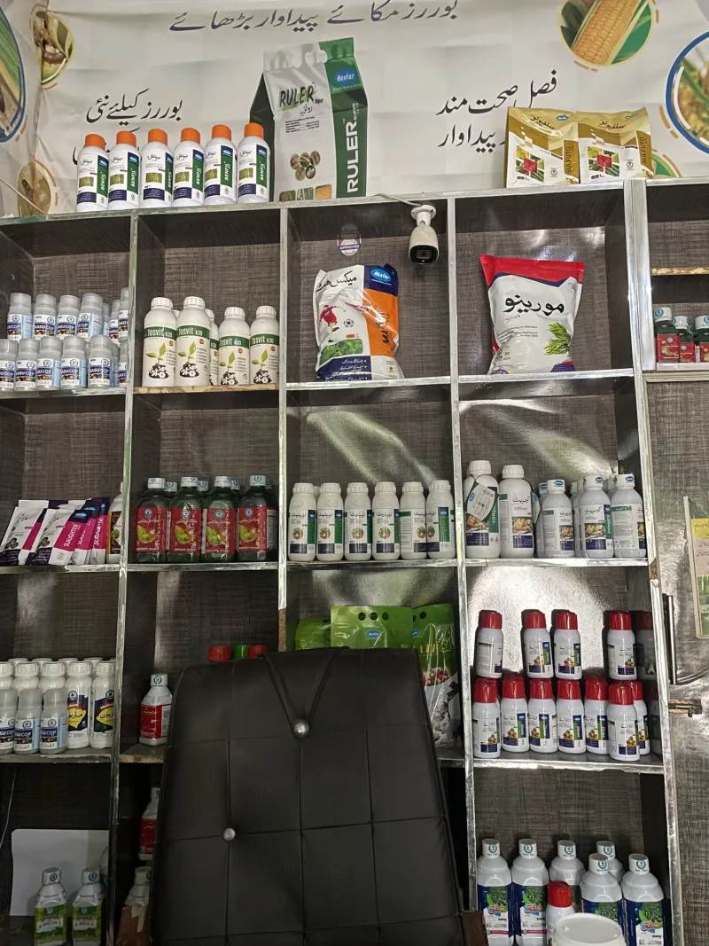 Arain traders